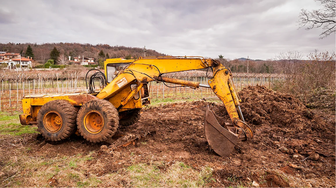 AdobeStock 360444954 1